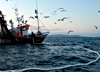 Inapesca busca contribuir a la producción sostenible de alimentos