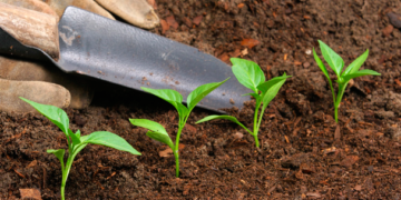 La UE opta por la producción de abonos más respetuosos con el medio ambiente