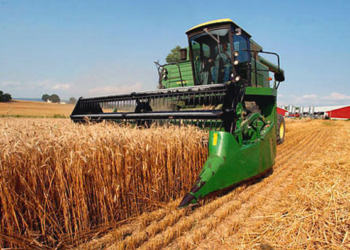 Los precios de los alimentos vuelven a subir en noviembre