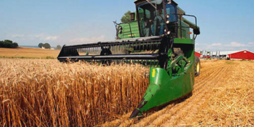 Los precios de los alimentos vuelven a subir en noviembre