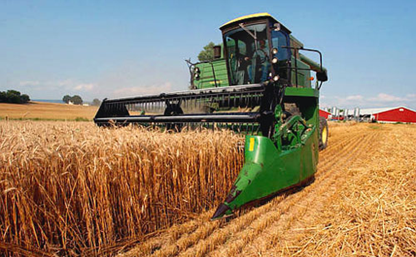 Los precios de los alimentos vuelven a subir en noviembre