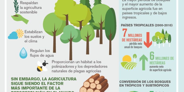 Más bosques más alimentos