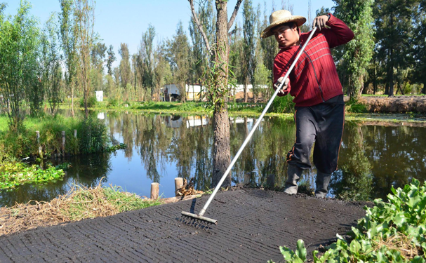 Prevalece tecnología prehispánica con el cultivo en chinampas