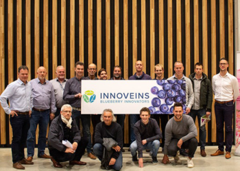 Productores europeos de arándano se alían por la agricultura inteligente