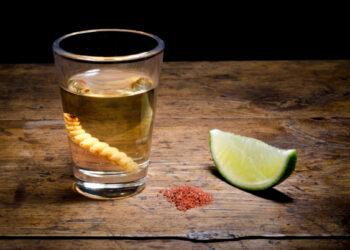 Suspende juez denominación de origen del mezcal para Aguascalientes