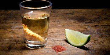 Suspende juez denominación de origen del mezcal para Aguascalientes