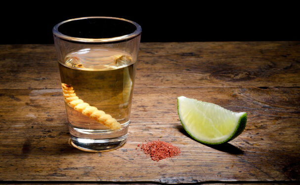 Suspende juez denominación de origen del mezcal para Aguascalientes