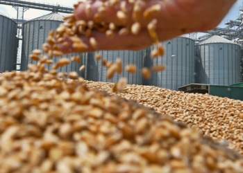 ¿Tregua comercial beneficia a los granos?