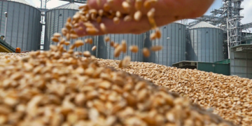 ¿Tregua comercial beneficia a los granos?