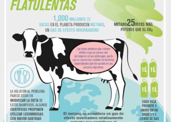 Vacas menos flatulentas