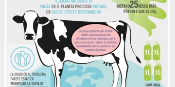 Vacas menos flatulentas