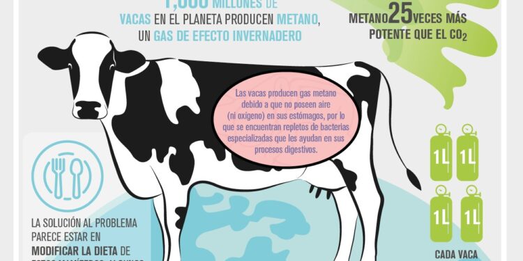 Vacas menos flatulentas