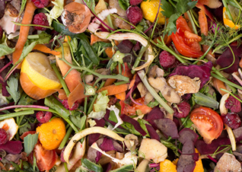 Acelerador microbiano transforma residuos orgánicos en composta