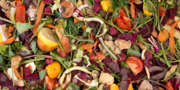 Acelerador microbiano transforma residuos orgánicos en composta