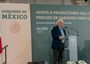 Anuncia la Sader precios de garantía para granos básicos