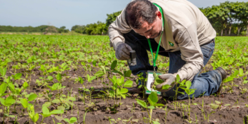 Busca la Sader reforzar programas de capacitación a productores rurales