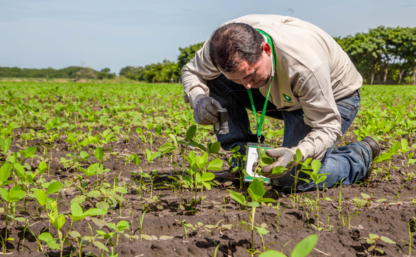 Busca la Sader reforzar programas de capacitación a productores rurales