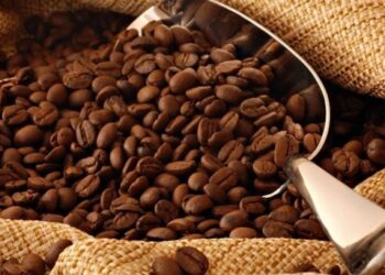 Certifican café orgánico de Zacatlán