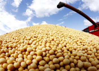 China aprueba importación de granos GM de Estados Unidos