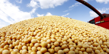 China aprueba importación de granos GM de Estados Unidos