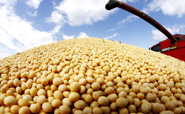 China aprueba importación de granos GM de Estados Unidos