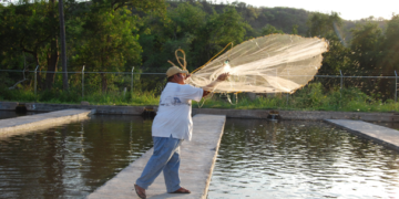 Conapesca propone crear consejos estatales de pesca y acuacultura