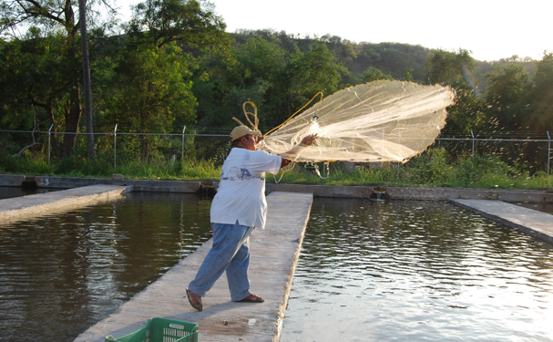 Conapesca propone crear consejos estatales de pesca y acuacultura