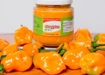 Crean en Yucatán primera salsa de chile habanero orgánico