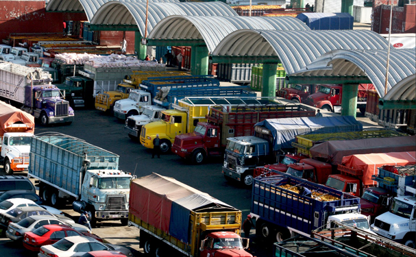 Desabasto de gasolina afectaría a sector agropecuario: UDG