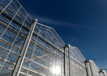 Destaca liderazgo agrícola de los Países Bajos