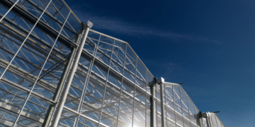 Destaca liderazgo agrícola de los Países Bajos