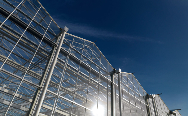 Destaca liderazgo agrícola de los Países Bajos