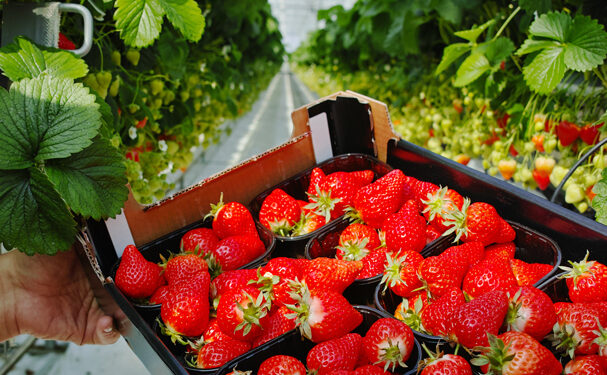 Merchandising: estrategia de branding e imagen del producto