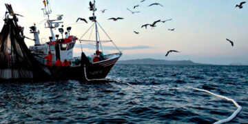 Gobierno e industria acuerdan plan para impulsar al sector pesquero