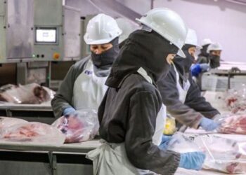 México cuenta ya con 61 plantas con certificación halal para exportación