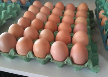 México impulsa mejora regulatoria en productos orgánicos