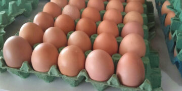 México impulsa mejora regulatoria en productos orgánicos