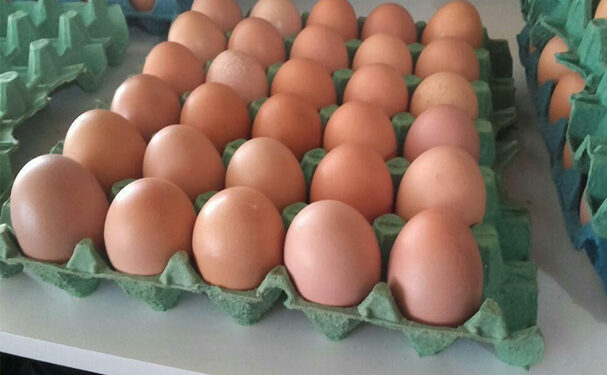 México impulsa mejora regulatoria en productos orgánicos