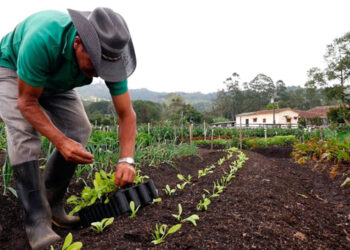 Orgánicos para el Valle del Yaqui