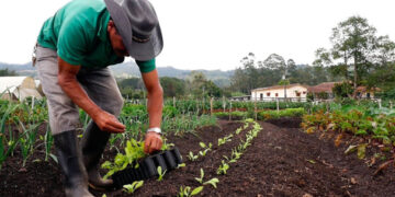Orgánicos para el Valle del Yaqui