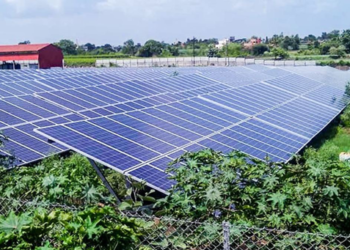 Países asiáticos trabajan en proyecto de agricultura limpia