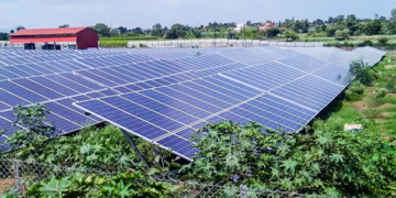 Países asiáticos trabajan en proyecto de agricultura limpia