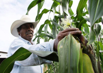 Por qué no debemos regatear a los pequeños productores