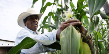 Por qué no debemos regatear a los pequeños productores