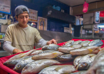 Productores acuícolas y pesqueros recibirán apoyo técnico y comercial