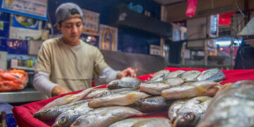 Productores acuícolas y pesqueros recibirán apoyo técnico y comercial