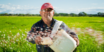 Productores y gobierno acuerdan plan para impulsar producción de arroz
