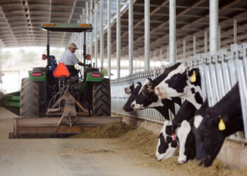 Productores de leche piden dar preferencia a compra de lácteos nacionales