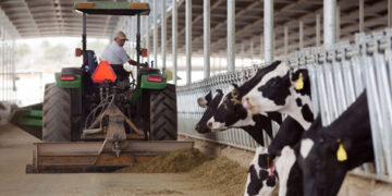 Productores de leche piden dar preferencia a compra de lácteos nacionales