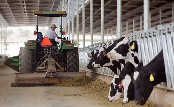 Productores de leche piden dar preferencia a compra de lácteos nacionales